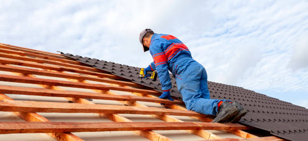 Best Roof Maintenance and Cleaning  in USA